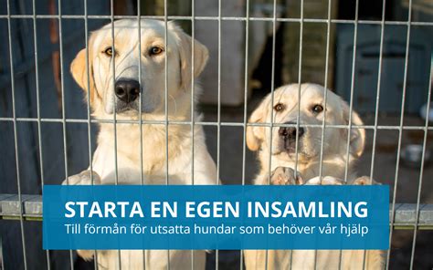 Starta insamling facebook